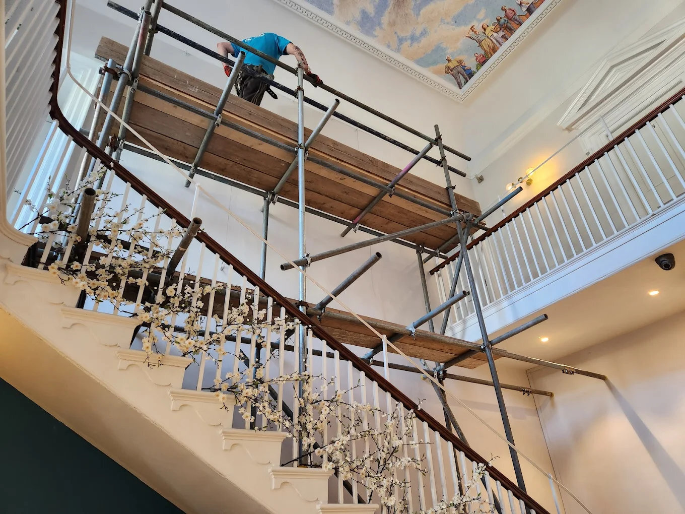 Birdcage Scaffolding